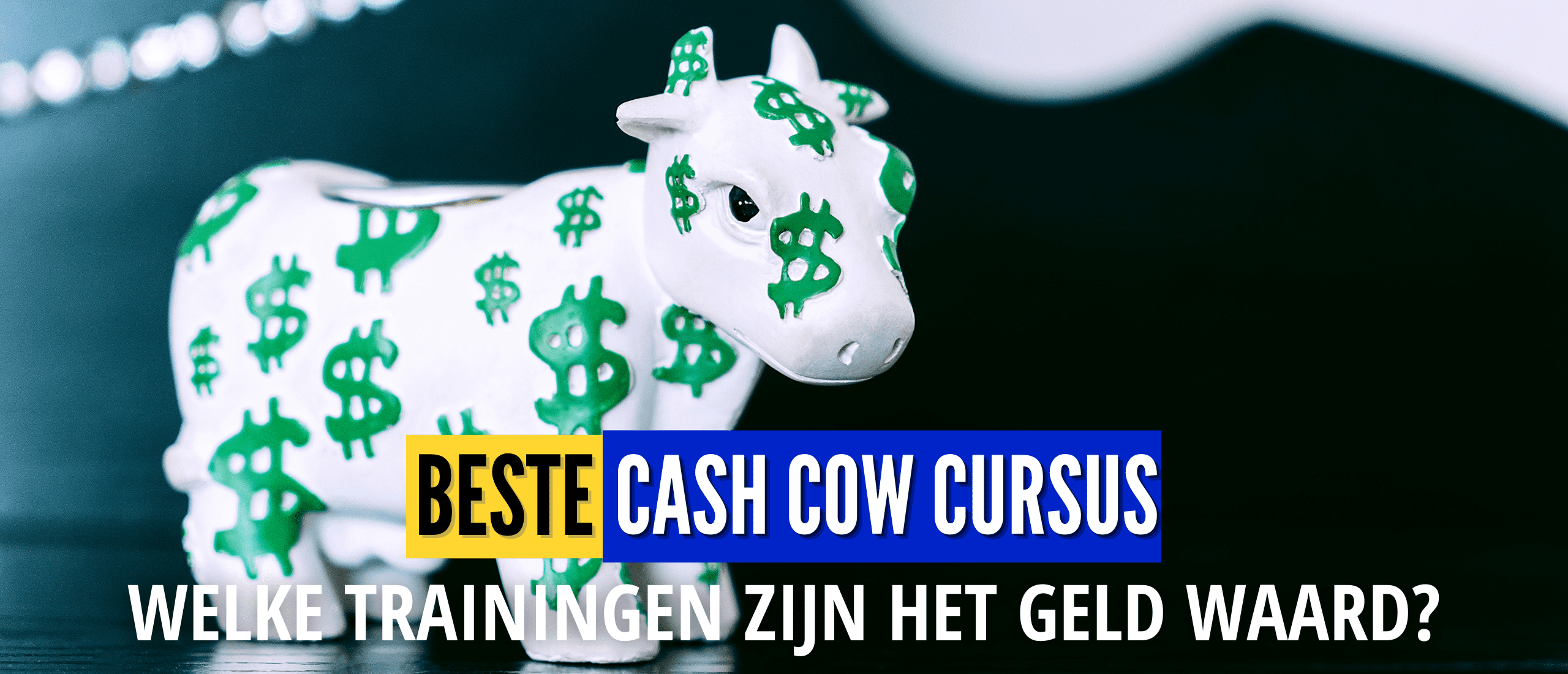 beste cash cow training