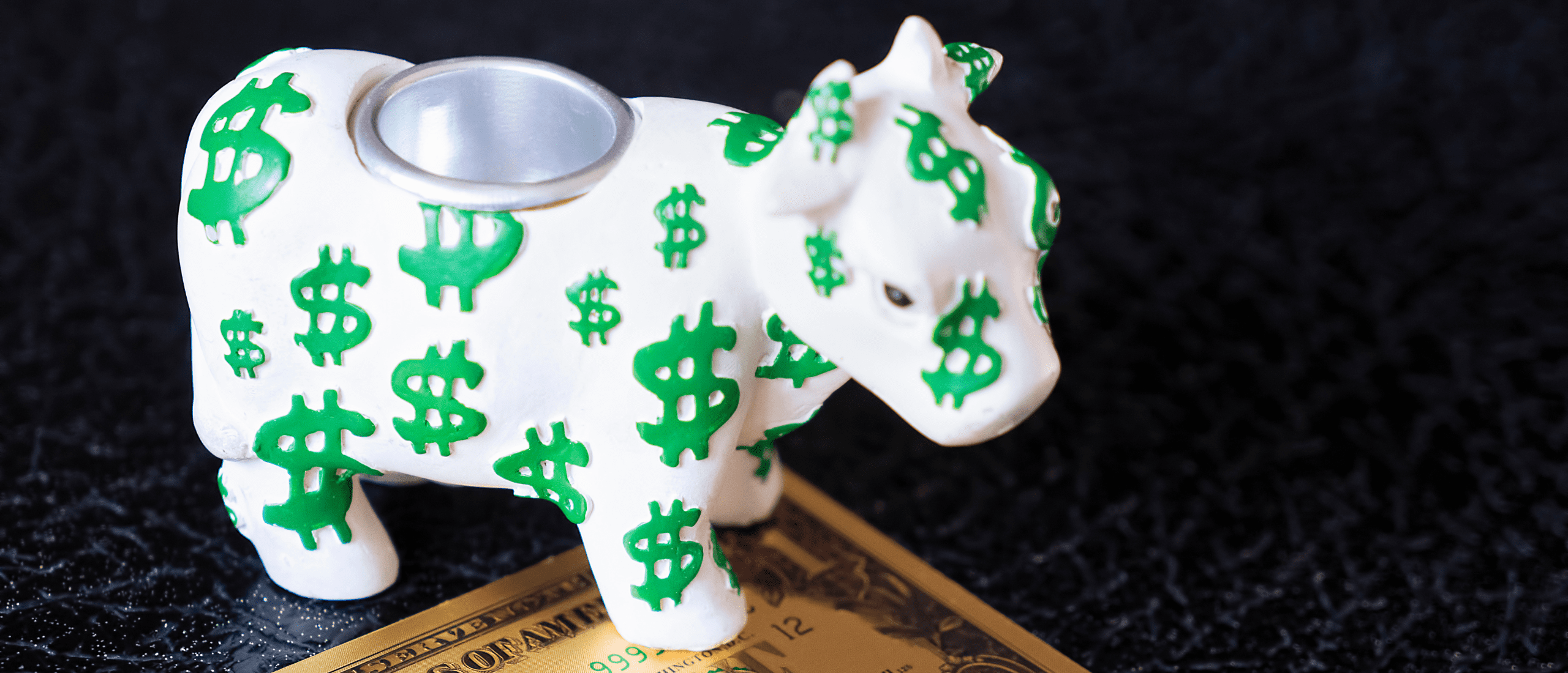 cash-cow-betekenis